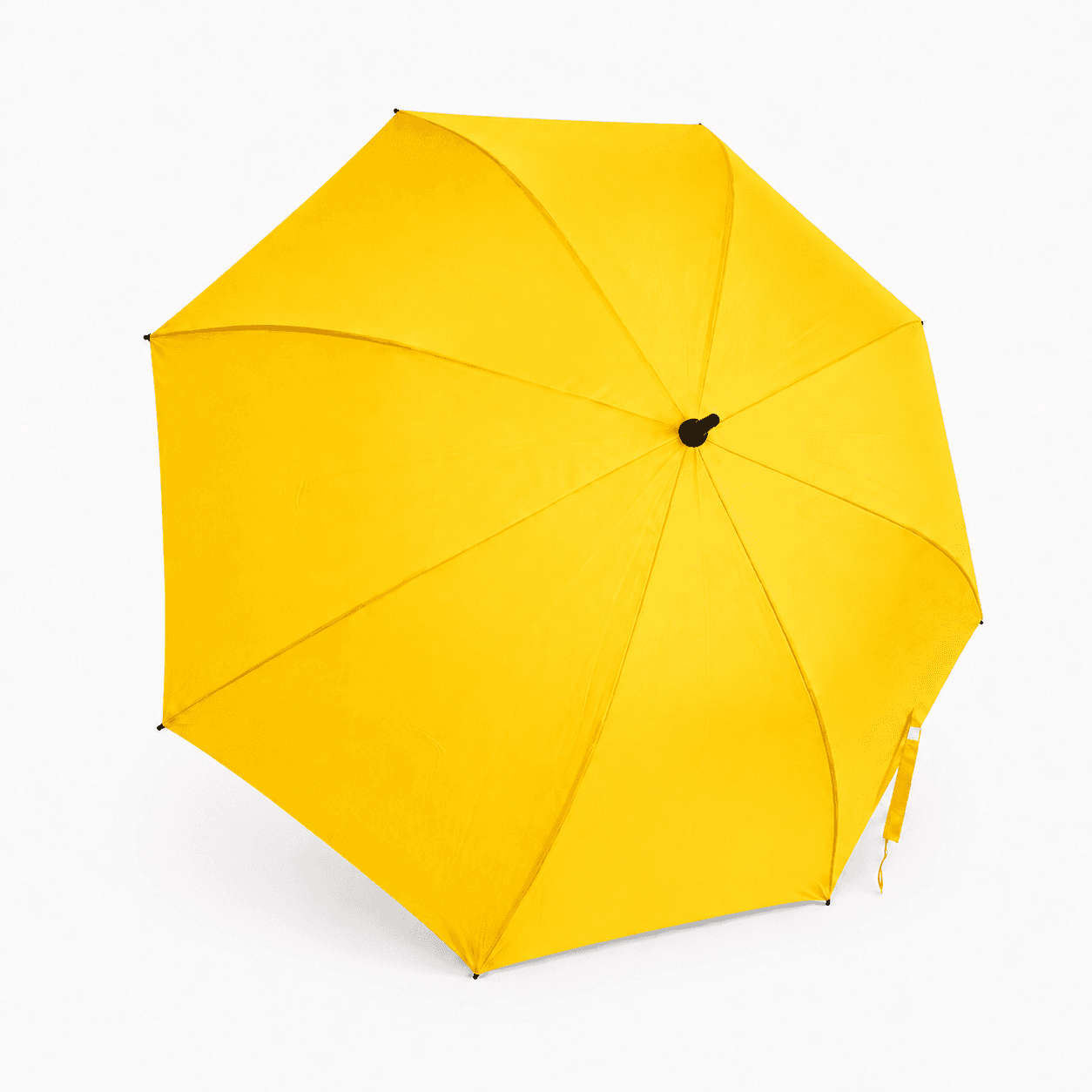 Guarda-chuva
